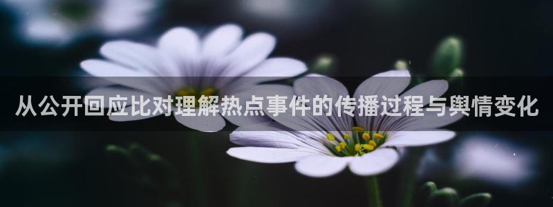 吃瓜爆料入口：从公开回应比对理解热点事件的传播过程与舆情变化