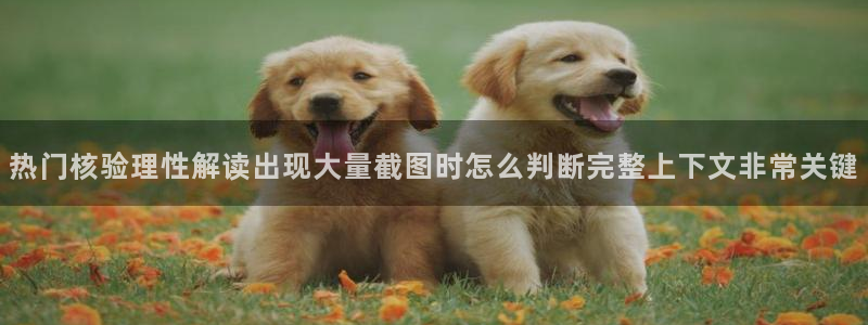 51吃瓜热搜榜：热门核验理性解读出现大量截图时怎么判断完整上下文非常关键