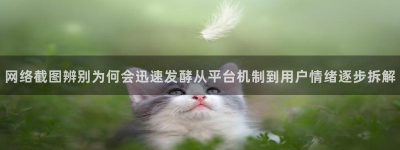 51吃瓜最新资讯：网络截图辨别为何会迅速发酵从平台机制到用户情绪逐步拆解