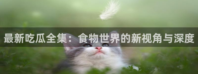 51吃瓜话题大全:最新吃瓜全集:食物世界的新视角与深度
